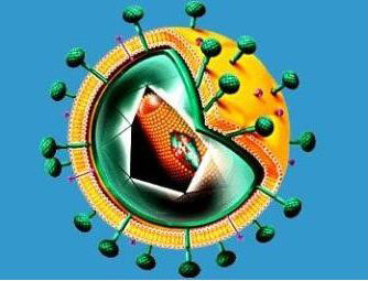 Как выглядят вирусы под микроскопом: описания и фото