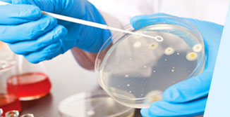 Бактериологические исследования и мазки